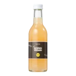 Water Concepts - Bottle of fruit juice Apple-Ginger with logo and label